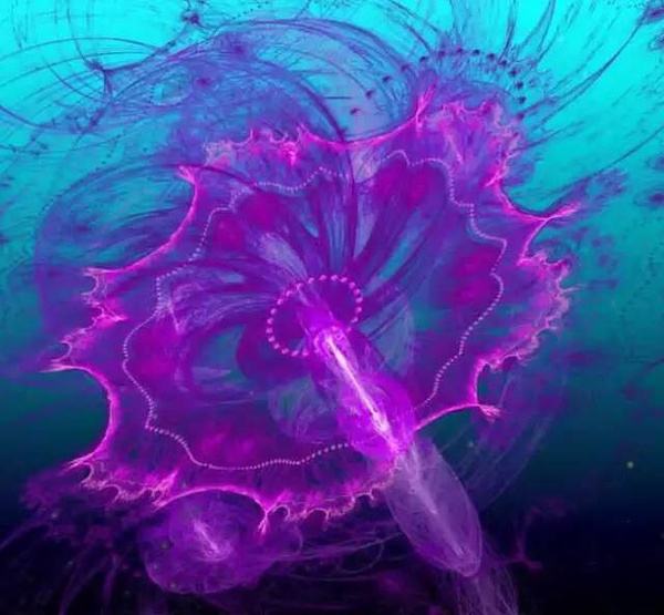 ˮĸͺˮһ